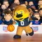 Bleacher Creatures Colorado Buffaloes Chip The Buffalo 10" Mascot Plush Figure
